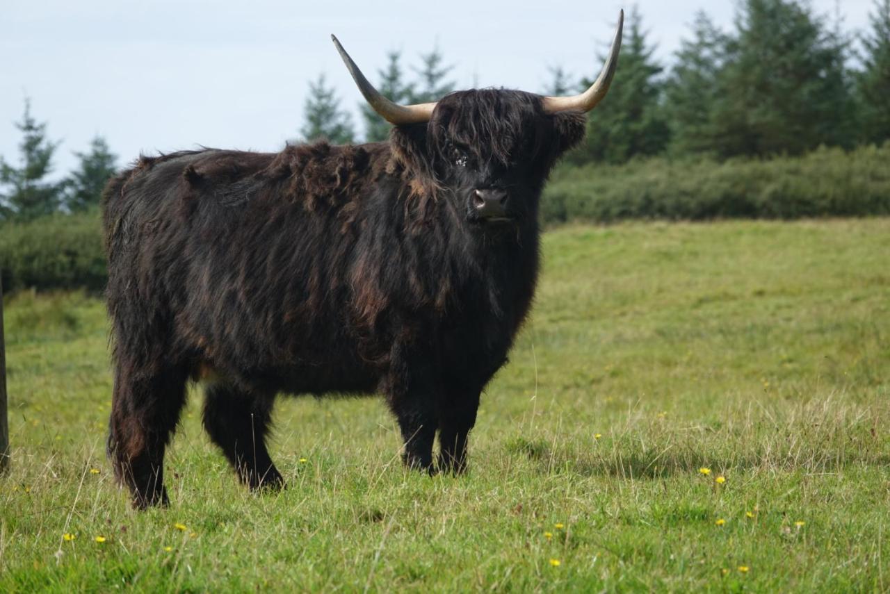 Bed & Breakfast Loch Gorm House Bruichladdich